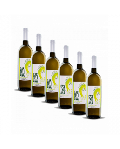 Vini Bianchi  6 Bottiglie Castellana Bianco Terre di Chieti IGP 2021 - Cantina Miglianico 19,67 €