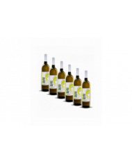 Vini Bianchi  6 Bottiglie Castellana Bianco Terre di Chieti IGP 2021 - Cantina Miglianico 19,67 €