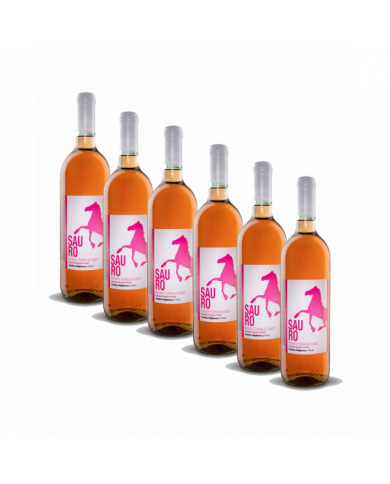 Rosé Wines  6 Bottiglie Sauro Rosato Terre di Chieti 2021 - Cantina Miglianico 19,67 â‚¬ Rosé Wines  6 Bottiglie Sauro Rosato Terre di Chieti 2021 - Cantina Miglianico 19,67 â‚¬