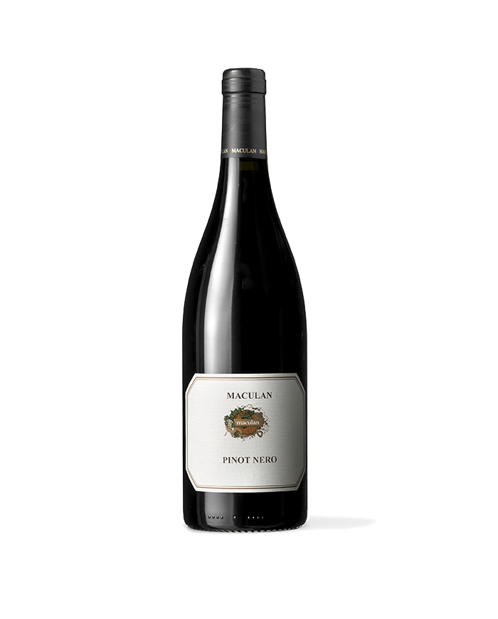 Rode wijnen  Pinot Nero Breganze DOC 2021 - Maculan 10,18 €