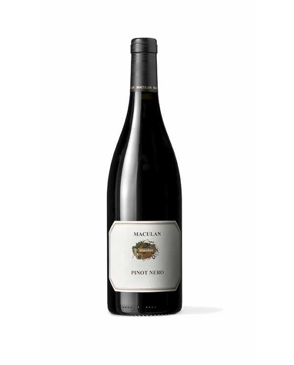 Rode wijnen  Pinot Nero Breganze DOC 2021 - Maculan 10,18 €