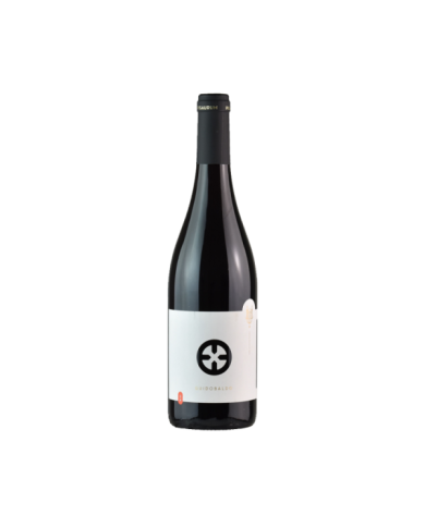 Rode wijnen  Colli Pesaresi Sangiovese Guidobaldo Bio 2018 - Pisaurum 6,56&nbsp;€