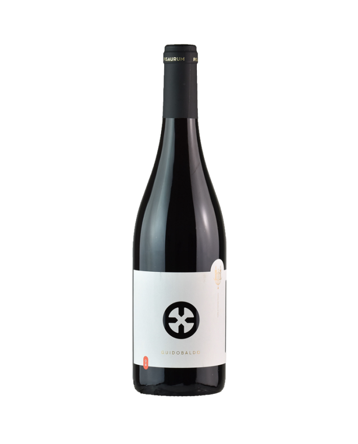 Rode wijnen  Colli Pesaresi Sangiovese Guidobaldo Bio 2018 - Pisaurum 6,56 €