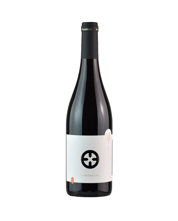 Rode wijnen  Colli Pesaresi Sangiovese Guidobaldo Bio 2018 - Pisaurum 6,56 €