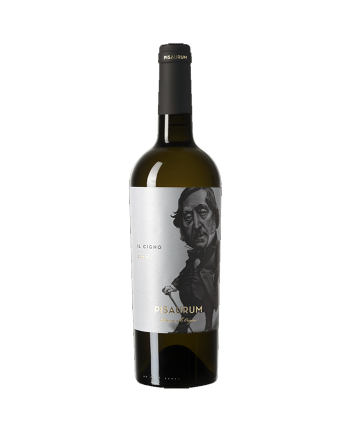 Witte Wijnen  Il Cigno Bianchello del Metauro DOC 2019 - Pisaurum 9,43 €