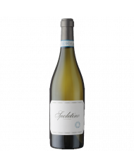 White wines  Spoletino Spoleto Trebbiano Spoletino DOC 2020 - Cantina Fratelli Pardi 14,70 €