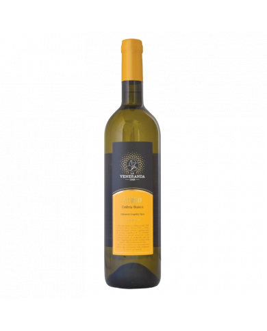 White wines  AUREO Umbria IGT Bianco 2024 - La Veneranda 6,89 €