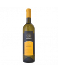 Witte Wijnen  AUREO Umbria IGT Bianco 2024 - La Veneranda 6,89 €