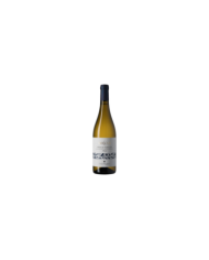 Witte Wijnen  Lyricus Verdicchio dei Castelli di Jesi Classico DOC 2019 - Colonnara 5,27 €