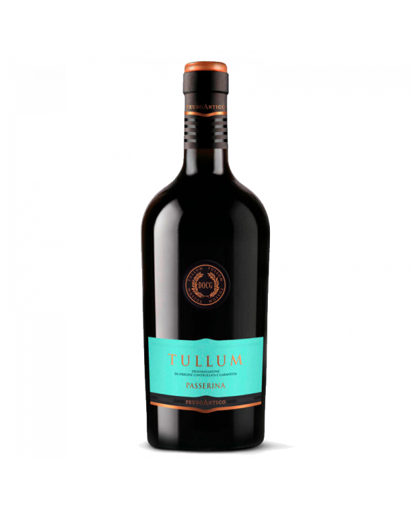 Witte Wijnen  Passerina Tullum DOCG 2021 - Feudo Antico 10,16 €