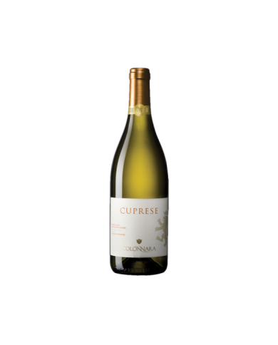 Witte Wijnen  Cuprese Verdicchio dei Castelli di Jesi Classico Superiore DOC 2021 BIO - Colonnara 11,48 â‚¬ Witte Wijnen  Cuprese Verdicchio dei Castelli di Jesi Classico Superiore DOC 2021 BIO - Colonnara 11,48 â‚¬