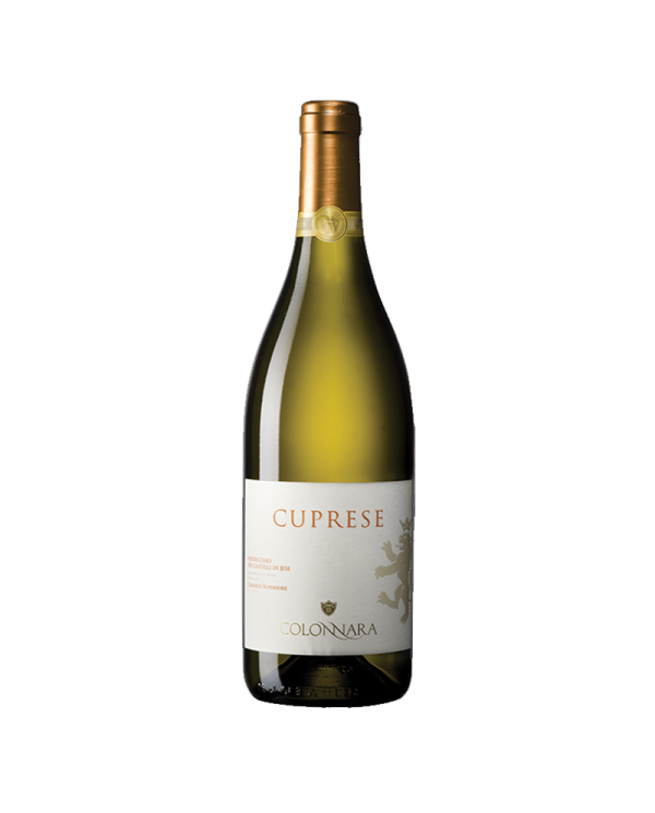 Witte Wijnen  Cuprese Verdicchio dei Castelli di Jesi Classico Superiore DOC 2021 BIO - Colonnara 11,48 â‚¬ Witte Wijnen  Cuprese Verdicchio dei Castelli di Jesi Classico Superiore DOC 2021 BIO - Colonnara 11,48 â‚¬