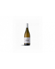 Witte Wijnen  VINOSOPHIA Terre di Chieti Passerina IGT 2021 Biologico - Chiusa Grande 7,70 â‚¬ Witte Wijnen  VINOSOPHIA Terre di Chieti Passerina IGT 2021 Biologico - Chiusa Grande 7,70 â‚¬