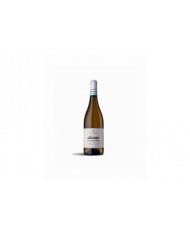 Witte Wijnen  VINOSOPHIA Abruzzo Cococciola DOC 2021 Biologico - Chiusa Grande 7,70 â‚¬ Witte Wijnen  VINOSOPHIA Abruzzo Cococciola DOC 2021 Biologico - Chiusa Grande 7,70 â‚¬