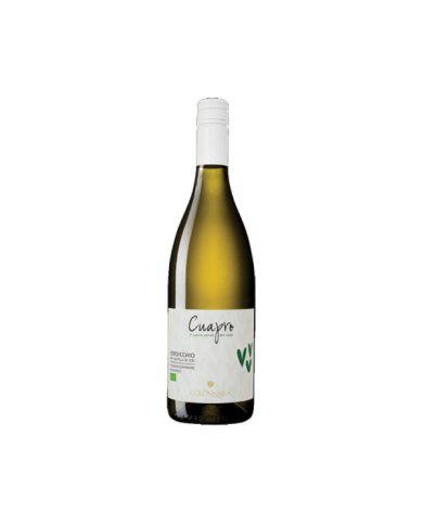 Witte Wijnen  Verdicchio dei Castelli di Jesi Classico Superiore Cuapro Bio 2016 - Colonnara 8,20 â‚¬ Witte Wijnen  Verdicchio dei Castelli di Jesi Classico Superiore Cuapro Bio 2016 - Colonnara 8,20 â‚¬