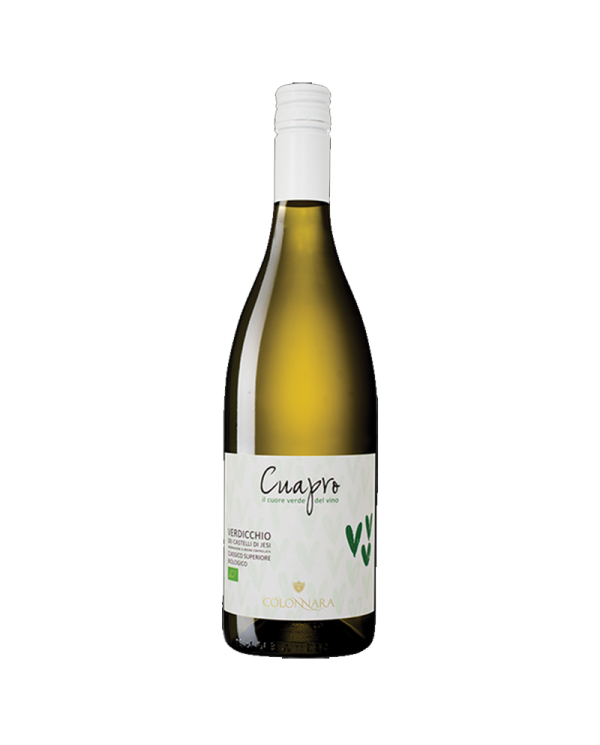 Witte Wijnen  Verdicchio dei Castelli di Jesi Classico Superiore Cuapro Bio 2016 - Colonnara 8,20 â‚¬ Witte Wijnen  Verdicchio dei Castelli di Jesi Classico Superiore Cuapro Bio 2016 - Colonnara 8,20 â‚¬