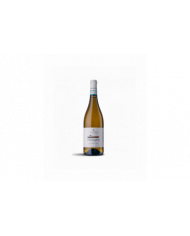 Witte Wijnen  VINOSOPHIA Abruzzo Pecorino DOC 2024 Biologico - Chiusa Grande 10,49 â‚¬ Witte Wijnen  VINOSOPHIA Abruzzo Pecorino DOC 2024 Biologico - Chiusa Grande 10,49 â‚¬