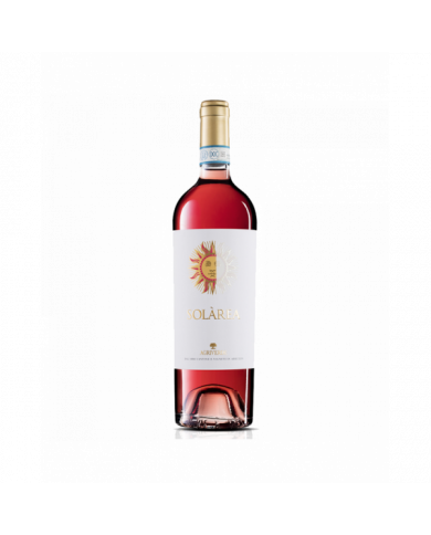 Rosé-Weine  SOLAREA Cerasuolo d’Abruzzo DOC 2021 - Agriverde 11,44 € Rosé-Weine  SOLAREA Cerasuolo d’Abruzzo DOC 2021 - Agriverde 11,44 €