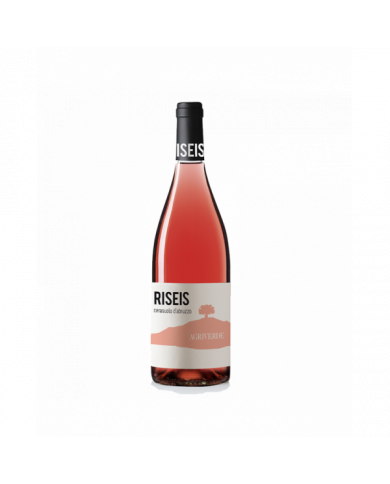 Rosé-Weine  RISEIS Cerasuolo d’Abruzzo Bio DOC 2021 - Agriverde 6,66 € Rosé-Weine  RISEIS Cerasuolo d’Abruzzo Bio DOC 2021 - Agriverde 6,66 €