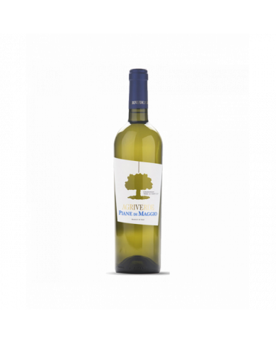 White wines  PIANE DI MAGGIO Chardonnay IGP 2021 - Agriverde 5,88 €
