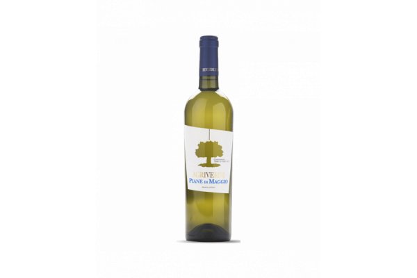 Vini Bianchi  PIANE DI MAGGIO Chardonnay IGP 2022 Magnum - Agriverde 8,11&nbsp;€