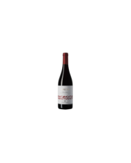 Rode wijnen  Lyricus Rosso Piceno DOC 2018 - Colonnara 4,92 €