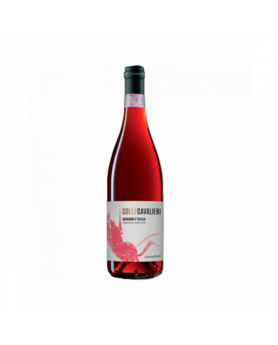 Rosé-Weine  6 Bottiglie Colle Cavalieri Cerasuolo D’Abruzzo Dop 2021 - Cantina Tollo 31,39 € Rosé-Weine  6 Bottiglie Colle Cavalieri Cerasuolo D’Abruzzo Dop 2021 - Cantina Tollo 31,39 €