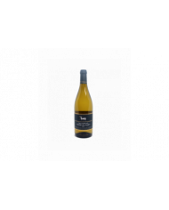 White wines  Pecorino Occhio Blu Terre Chieti IGP 2022 – Cantina Tollo 5,66 €