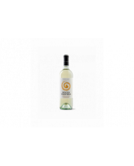 Vini Bianchi  Chardonnay Terre di Chieti IGP 2023 - Rocca Ventosa - Cantina Tollo 4,21 €