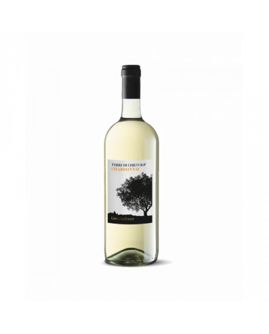 White wines  Chardonnay Terre di Chieti Igp 2023 Magnum - Cantina Tollo 5,90 €