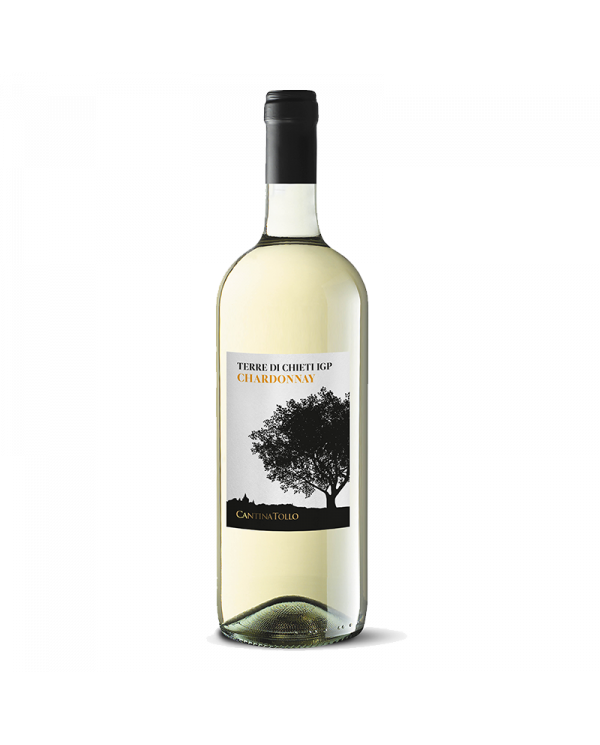 Vini Bianchi  Chardonnay Terre di Chieti Igp 2023 Magnum - Cantina Tollo 5,90 €