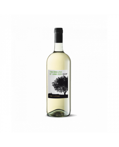 White wines  Trebbiano D’Abruzzo Dop 2023 Magnum - Cantina Tollo 5,90 €