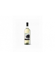Vini Bianchi  Trebbiano D’Abruzzo Dop 2023 Magnum - Cantina Tollo 5,90 â‚¬ Vini Bianchi  Trebbiano D’Abruzzo Dop 2023 Magnum - Cantina Tollo 5,90 â‚¬