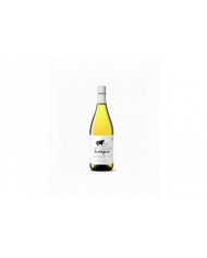 Witte Wijnen  Pecorino Biologico Sostenibile Vegano 2021 - Cantina Tollo 5,48 €