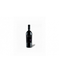 Red Wines  Valle d’Oro Merlot Cabernet Terre di Chieti IGP 2023 - Cantina Tollo 6,32 €