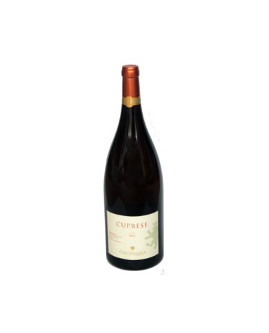 Witte Wijnen  Cuprese Verdicchio dei Castelli di Jesi Doc Classico Superiore MAGNUM 2016 - Colonnara 20,90 â‚¬ Witte Wijnen  Cuprese Verdicchio dei Castelli di Jesi Doc Classico Superiore MAGNUM 2016 - Colonnara 20,90 â‚¬