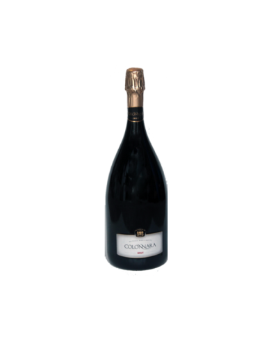 Witte Wijnen  Spumante Brut Metodo Martinotti Magnum - Colonnara 20,90 â‚¬ Witte Wijnen  Spumante Brut Metodo Martinotti Magnum - Colonnara 20,90 â‚¬