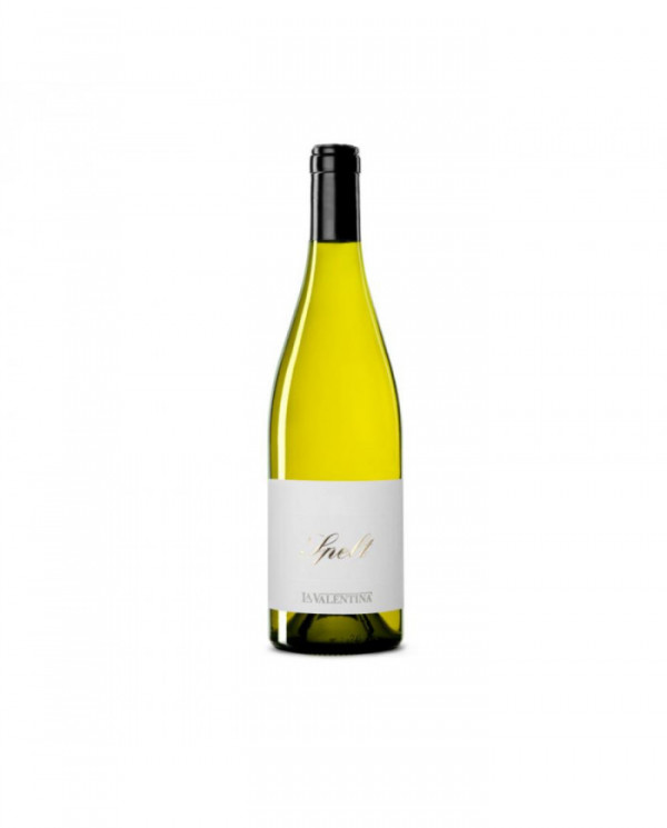 Witte Wijnen  Trebbiano d'Abruzzo Superiore DOC Spelt ORO 2021 - Fattoria La Valentina 12,30 â‚¬ Witte Wijnen  Trebbiano d'Abruzzo Superiore DOC Spelt ORO 2021 - Fattoria La Valentina 12,30 â‚¬