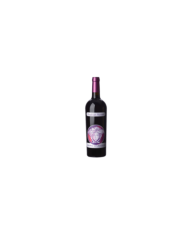 Rode wijnen  VERSACE Nero D’Avola IGT 2019 – Feudi del Pisciotto 24,51 €