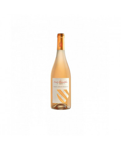 Witte Wijnen  Pinot Grigio Ramato 2021 - CONTE BRANDOLINI D'ADDA 9,75 € Witte Wijnen  Pinot Grigio Ramato 2021 - CONTE BRANDOLINI D'ADDA 9,75 €