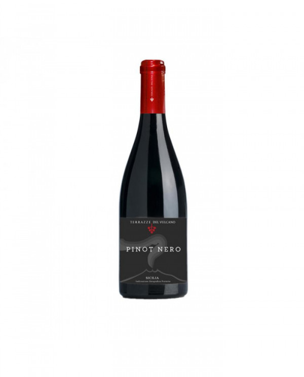 Red Wines  Pinot Nero Sicilia 2016 - TERRAZZE DELL'ETNA 39,00&nbsp;€