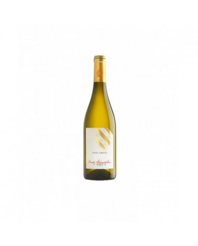 Witte Wijnen  Pinot Grigio 2021 - CONTE BRANDOLINI D'ADDA 9,49 € Witte Wijnen  Pinot Grigio 2021 - CONTE BRANDOLINI D'ADDA 9,49 €