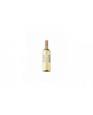White wines  Orvieto Classico Superiore 2021 - SALVIANO 7,15 â‚¬ White wines  Orvieto Classico Superiore 2021 - SALVIANO 7,15 â‚¬
