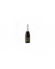 Vini Spumanti  Ribolla Gialla Plus Spumante - BASTIANICH 15,34&nbsp;€