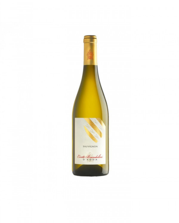 Witte Wijnen  Sauvignon Friuli Grave DOC 2022 - CONTE BRANDOLINI D'ADDA 10,90 â‚¬ Witte Wijnen  Sauvignon Friuli Grave DOC 2022 - CONTE BRANDOLINI D'ADDA 10,90 â‚¬