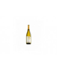 White wines  Friulano 2021 - CONTE BRANDOLINI D'ADDA 9,49 â‚¬ White wines  Friulano 2021 - CONTE BRANDOLINI D'ADDA 9,49 â‚¬