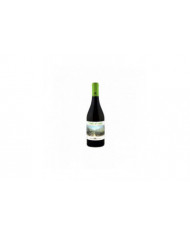 White wines  Coda di Volpe 2023 - Masseria Frattasi 15,60 â‚¬ White wines  Coda di Volpe 2023 - Masseria Frattasi 15,60 â‚¬