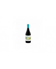 Witte Wijnen  Sauvignon Beneventano IGP Svg 920 - MASSERIA FRATTASI 15,60 €