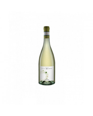White wines  Lugana 2024 - PODERE SELVA CAPUZZA 10,00 â‚¬ White wines  Lugana 2024 - PODERE SELVA CAPUZZA 10,00 â‚¬