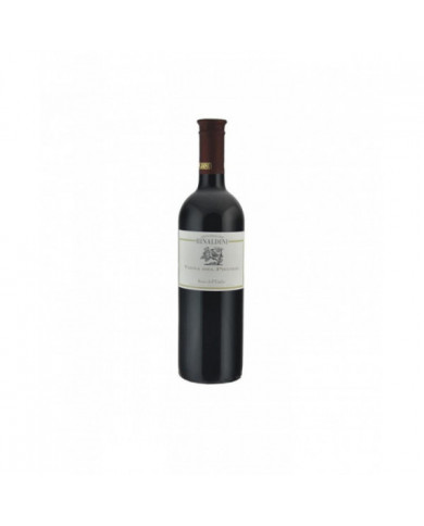 Red Wines  Vigna del Picchio Emilia IGT 2019 - Cantina Rinaldini 14,77 € Red Wines  Vigna del Picchio Emilia IGT 2019 - Cantina Rinaldini 14,77 €